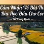 Bài Học Đầu Cho Con Nhân Vật Trữ Tình