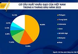 Báo Cáo Xuất Khẩu Gạo 2021 Đến Nay भारत