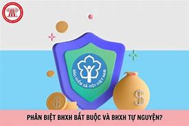 Bhxh Bắt Buộc Và Bhxh Tự Nguyện