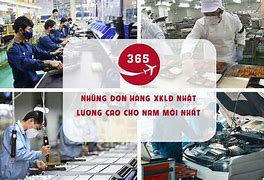 Đơn Hàng Xklđ Hàn Quốc 2022 Cần Những Gì Mới Nhất Hiện Nay Ở Mỹ