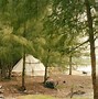 Giá Camping Hồ Cốc