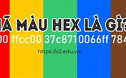 Mã Ngạch Giáo Viên Tiểu Học